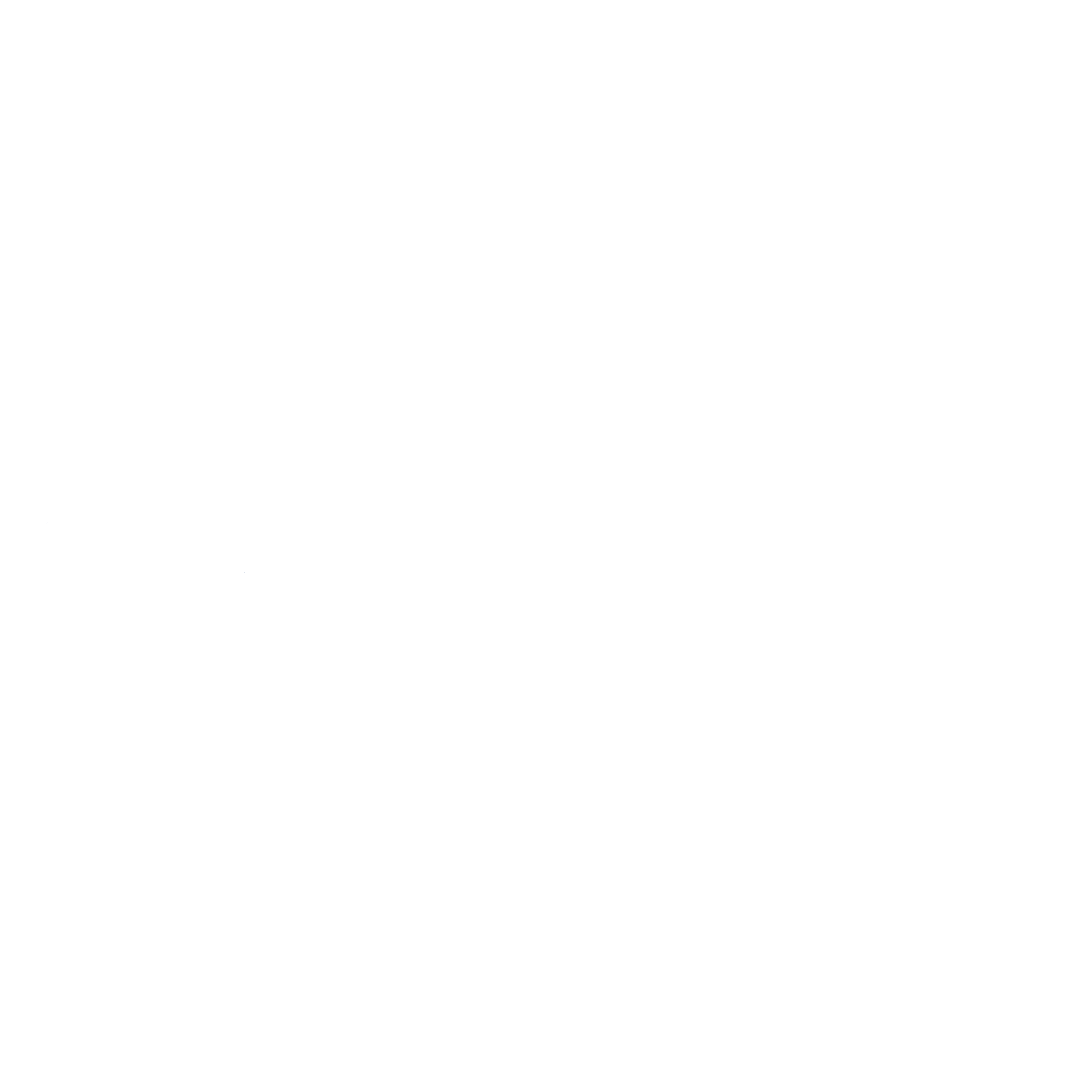 logo_stalvoss