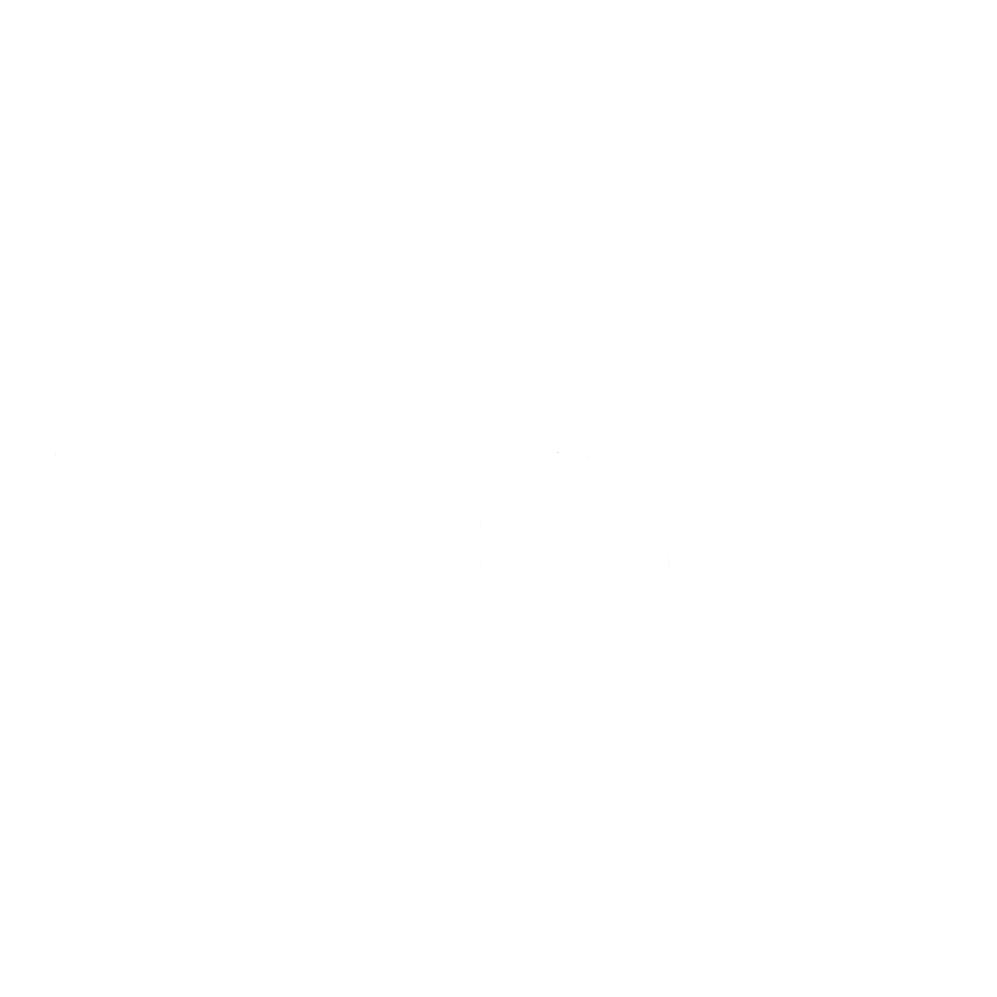 logo_vaupel
