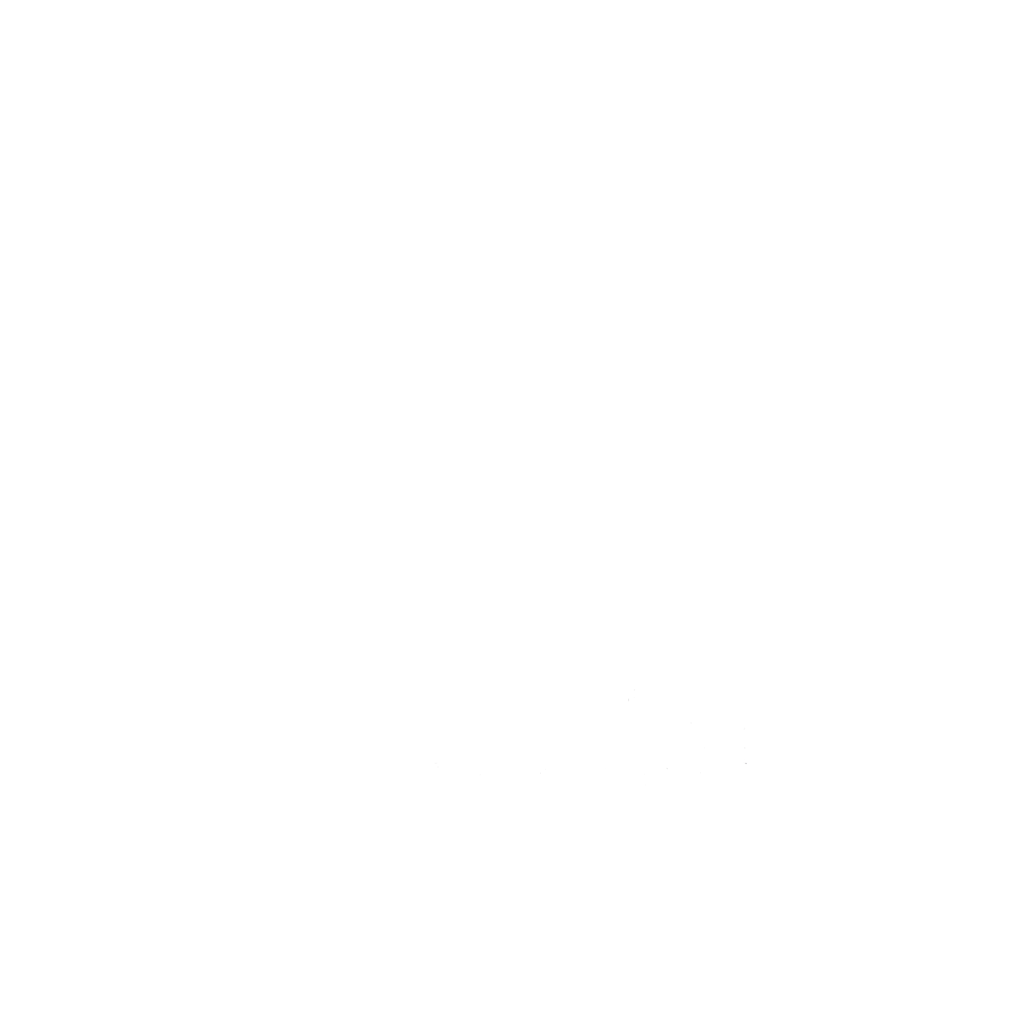 logo_wsp